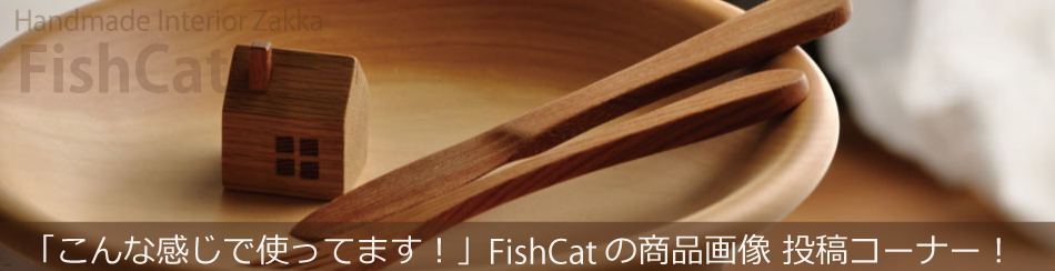 FishCat